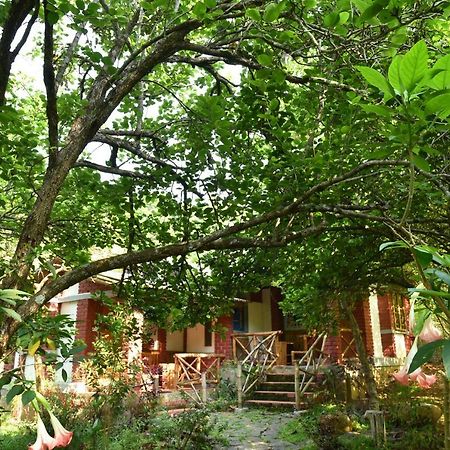 Hotel Wow Bison Woods Yercaud Zewnętrze zdjęcie