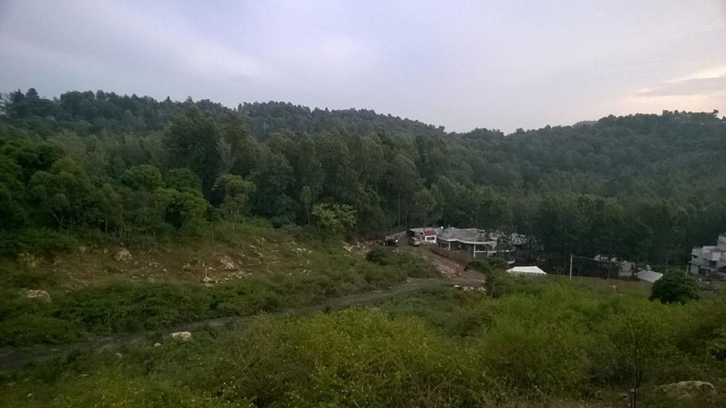 Hotel Wow Bison Woods Yercaud Pokój zdjęcie