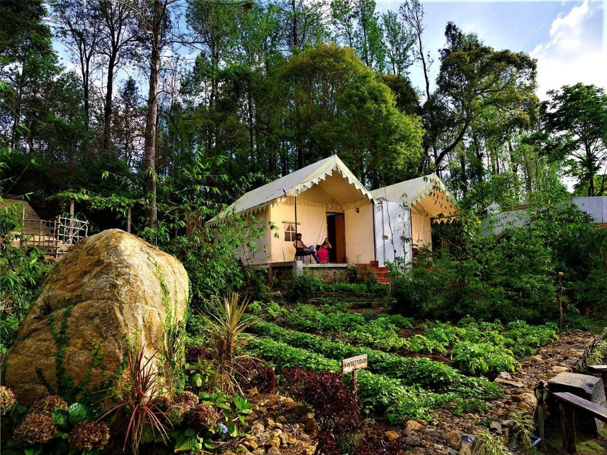 Hotel Wow Bison Woods Yercaud Zewnętrze zdjęcie