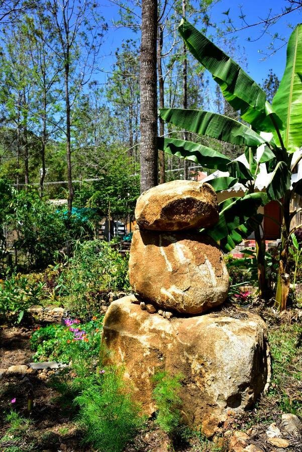 Hotel Wow Bison Woods Yercaud Zewnętrze zdjęcie